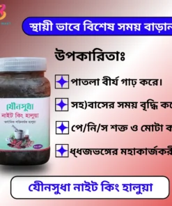 যেীনসুধা নাইট কিং হালুয়া